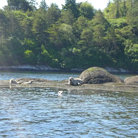 Bed & Breakfast River's Edge Glengarriff